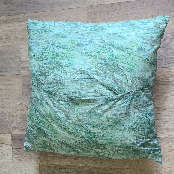 Pillow & Cover - Picture 2 of 5